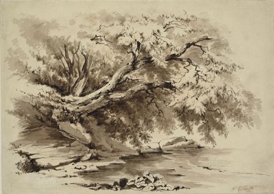 Paysage avec des arbres surplombant un lac - William Collingwood Smith