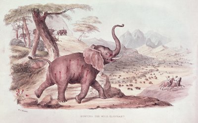 Chasse à l