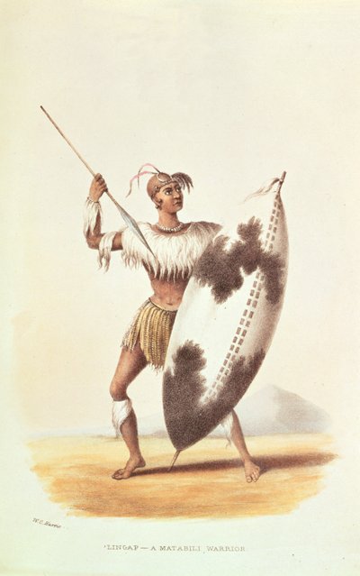 Lingap, un guerrier Matabili, illustration de 