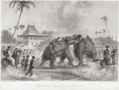 Éléphants se battant à Lucknow - William Daniell