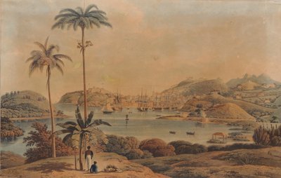 Vue de la ville de St. George et Richmond Heights sur l