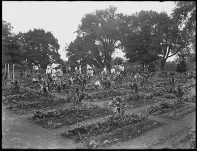 Enfants travaillant dans le jardin de l