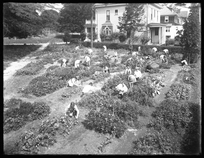 Vue en plongée des enfants travaillant dans le jardin de la branche Poppenhusen de la bibliothèque publique de Queens Borough, 14 août 1915 - William Davis Hassler