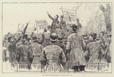 La Réunion de Hyde Park, dimanche 20 novembre - William Douglas Almond