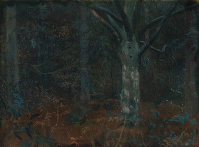Vieux sycomore - William Edward Stott