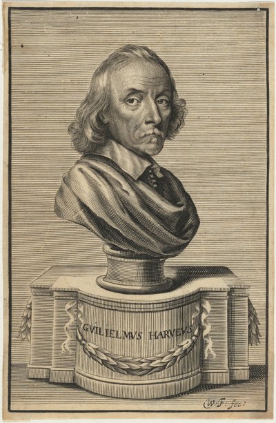 William Harvey, M.D. - William Faithorne