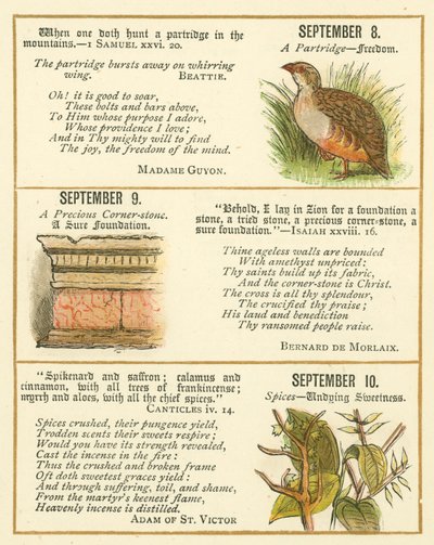 Page du Livre Anniversaire des Emblèmes de la Bible - William Foster