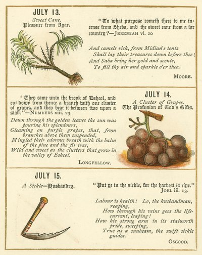 Page du livre anniversaire de l