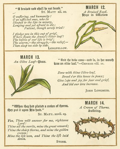 Page du livre d