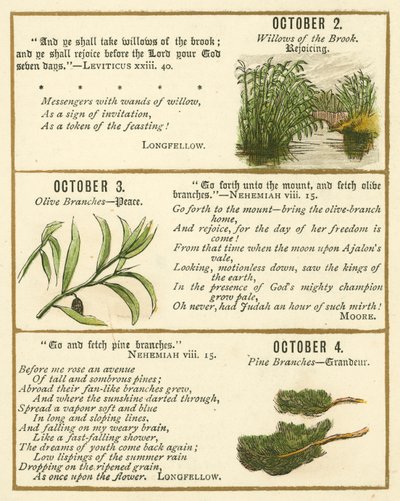Page du Livre Anniversaire de la Bible Emblème - William Foster