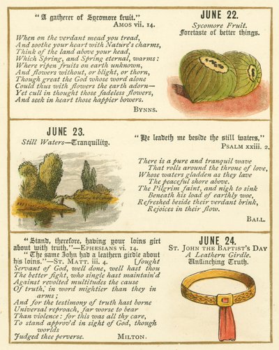 Page du Livre Anniversaire de la Bible Emblème - William Foster