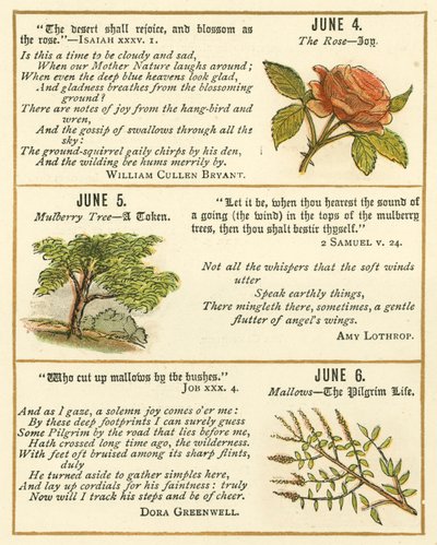 Page du Livre Anniversaire de la Bible Emblème - William Foster
