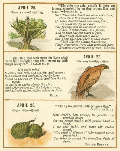 Page du Livre Anniversaire de la Bible Emblème - William Foster