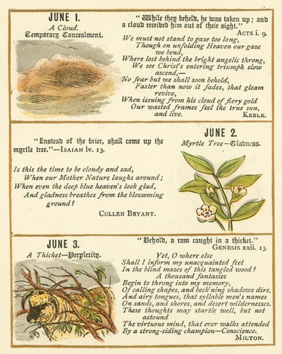 Page du Livre Anniversaire de la Bible Emblème - William Foster