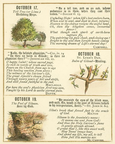 Page du Livre Anniversaire de la Bible Emblème (lithographie en couleur) - William Foster