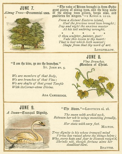 Page du Livre Anniversaire de l