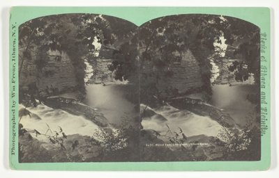 Chutes de la forêt vues d