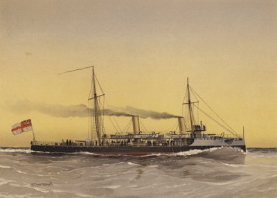 HMS Speedwell, canonnière torpilleur - William Frederick Mitchell