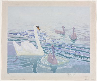Cygnes et cygneaux - William Giles