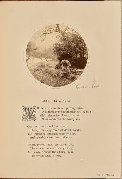[Un homme ramasse du bois, Angleterre] - William Grundy