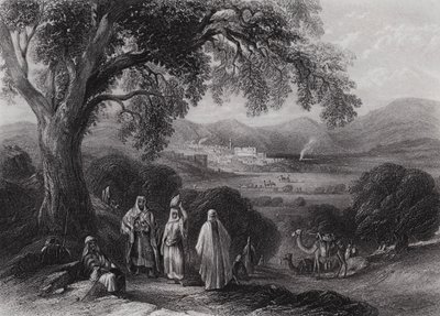 Vallée de Nazareth (gravure) - William H. Bartlett