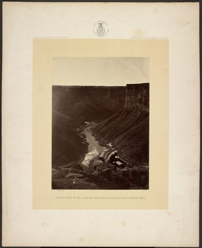 Grand Cañon du fleuve Colorado, embouchure de Kanab Wash, en regardant vers l