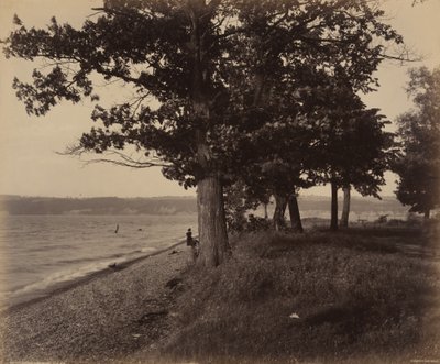 Lac Cayuga, Sheldrake - William H. Rau