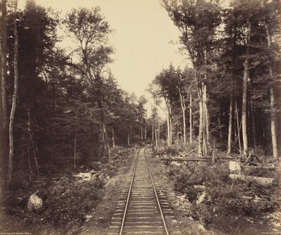 Branche du lac Ganoga - William H. Rau