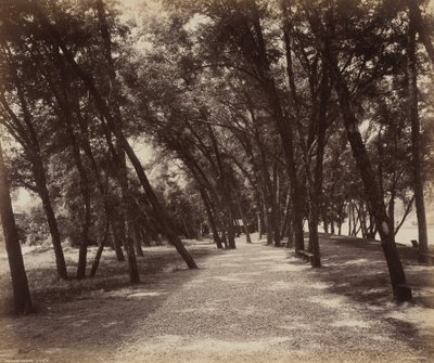 Aire de pique-nique - William H. Rau