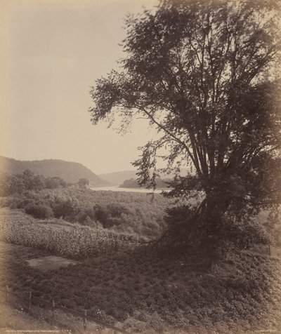 Susquehanna pittoresque, près de Laceyville - William H. Rau