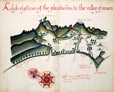 Description des plantations dans la vallée de Paneca - William Hack