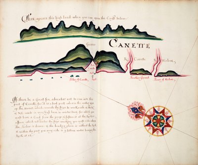 Canette - William Hack