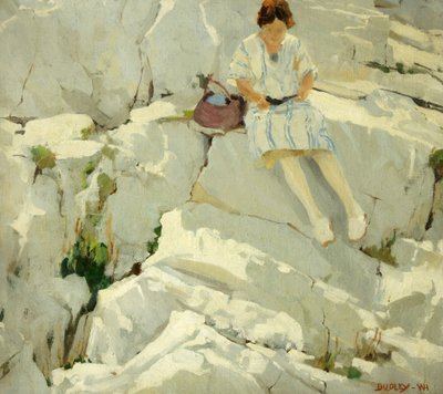 Papillon sur les rochers - William Harold Dudley