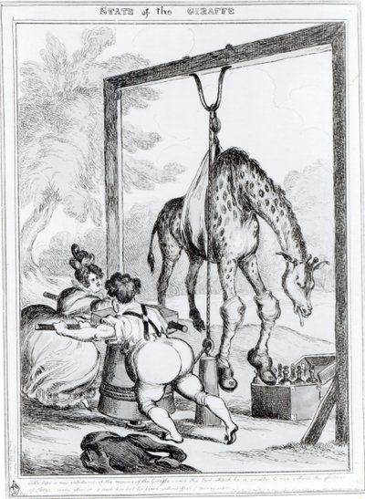État de la girafe, 1829 - William Heath