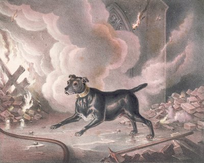 Le chien du pompier de Londres - William Heath