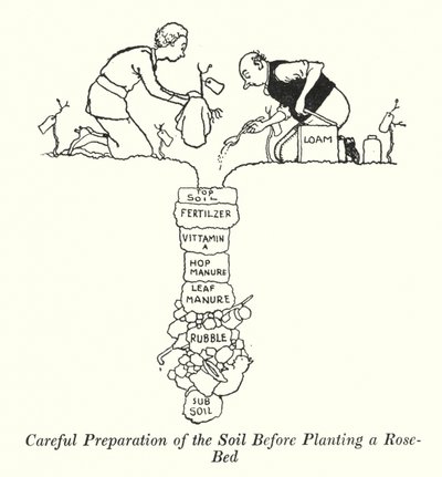 Préparation minutieuse du sol avant de planter un parterre de roses (lithographie) - William Heath Robinson