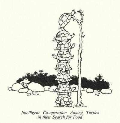 Coopération Intelligente Parmi les Tortues dans leur Recherche de Nourriture - William Heath Robinson