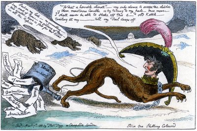 Le chien de chasse corse poursuivi par l