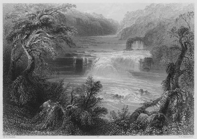 Saut du saumon à Leixlip (gravure) - William Henry (after) Bartlett
