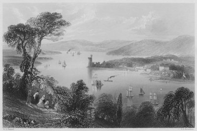 La rivière Cork, depuis la route de Glanmire - William Henry (after) Bartlett