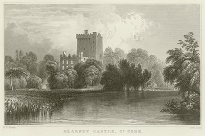 Château de Blarney dans le comté de Cork - William Henry Bartlett