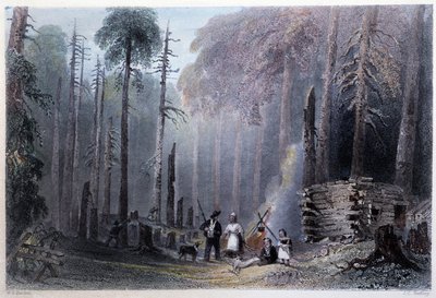 Première installation de colon - dans « Canadian scenery illustrated » par W.H. Bartlett, Londres - William Henry Bartlett