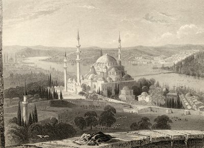 Mosquée et tombe de Soliman, depuis la tour du Seraskier, Istanbul, Turquie, gravé par H. Adlard - William Henry Bartlett