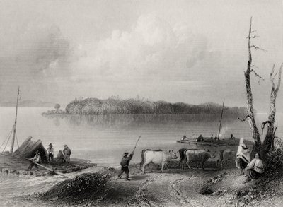 Île Navy, rivière Niagara, Ontario, Canada, gravé par Charles Coulson (1815-89) - William Henry Bartlett