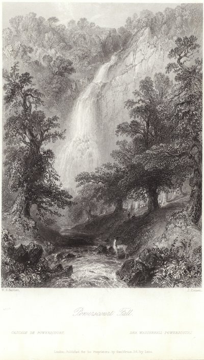 Chute de Powerscourt sur la rivière Dargle - William Henry Bartlett