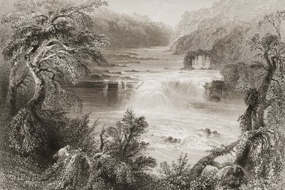 Saut du saumon à Leixlip, comté de Kildare, de 