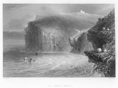 St Bees Head - William Henry Bartlett