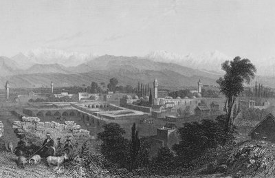 Tarse, une ville en Cilicie - William Henry Bartlett