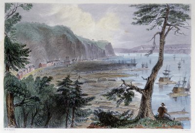 Dépôt de bois près de Québec - William Henry Bartlett
