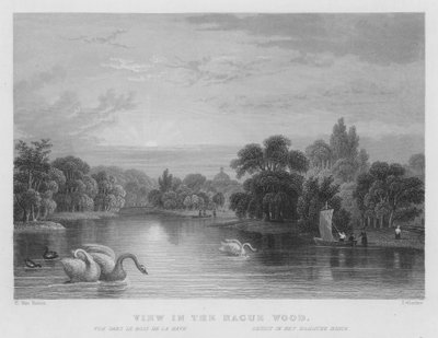 Vue dans le Bois de La Haye (gravure) - William Henry Bartlett